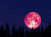 Fenomena Strawberry Moon: Pemandangan Langit yang Indah di Bulan Juni 2026