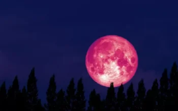 Fenomena Strawberry Moon: Pemandangan Langit yang Indah di Bulan Juni 2026