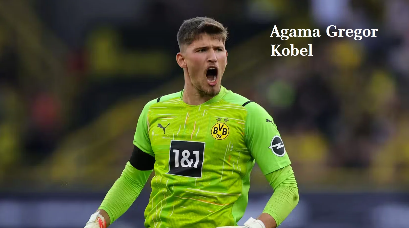 Gregor Kobel dan Perjalanan Karirnya di Dunia Sepak Bola