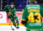 Ilves Tampere Mengalami Perubahan Pemain dan Pemain Baru