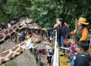 Kasus Korupsi Kebun Binatang Surabaya: Satwa Terlantar, Anggaran Disalahgunakan