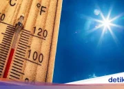 Kasus Nolan Wells: Gubernur Mississippi Berbicara, Sementara Inggris Menghadapi Gelombang Panas