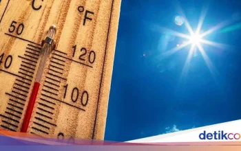 Kasus Nolan Wells: Gubernur Mississippi Berbicara, Sementara Inggris Menghadapi Gelombang Panas