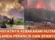 Kebakaran Hutan Melanda Perancis dan Spanyol, Lebih dari 200.000 Orang Mengungsi