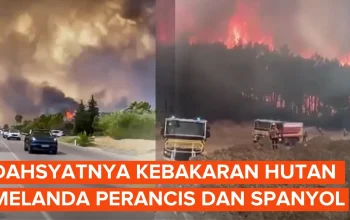 Kebakaran Hutan Melanda Perancis dan Spanyol, Lebih dari 200.000 Orang Mengungsi