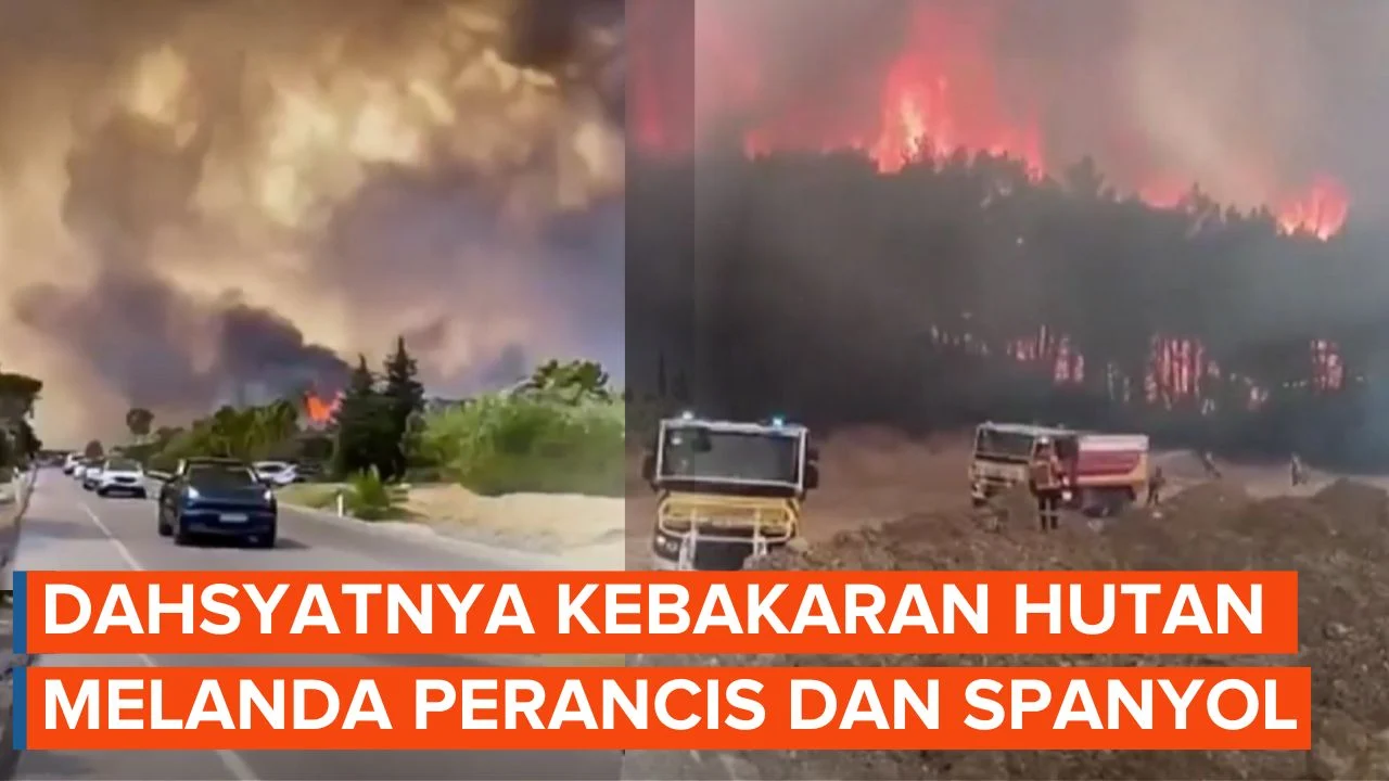 Kebakaran Hutan Melanda Perancis dan Spanyol, Lebih dari 200.000 Orang Mengungsi