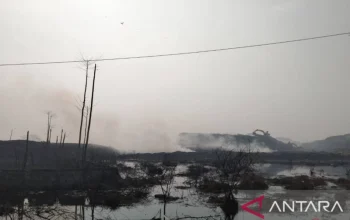 Kebakaran TPA Jatiwaringin: Api Masih Menyala Setelah Sehari Semalam