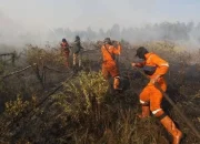 Kehidupan di Bawah Ancaman Kebakaran Hutan dan Perjalanan Musikal Masego: Antara Kesiapan dan Ketidakpastian