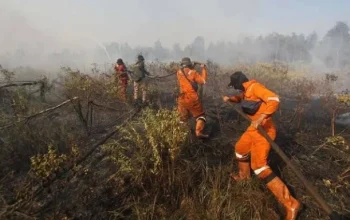Kehidupan di Bawah Ancaman Kebakaran Hutan dan Perjalanan Musikal Masego: Antara Kesiapan dan Ketidakpastian