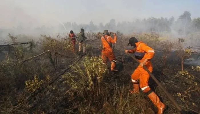 Kehidupan di Bawah Ancaman Kebakaran Hutan dan Perjalanan Musikal Masego: Antara Kesiapan dan Ketidakpastian