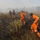 Kehidupan di Bawah Ancaman Kebakaran Hutan dan Perjalanan Musikal Masego: Antara Kesiapan dan Ketidakpastian