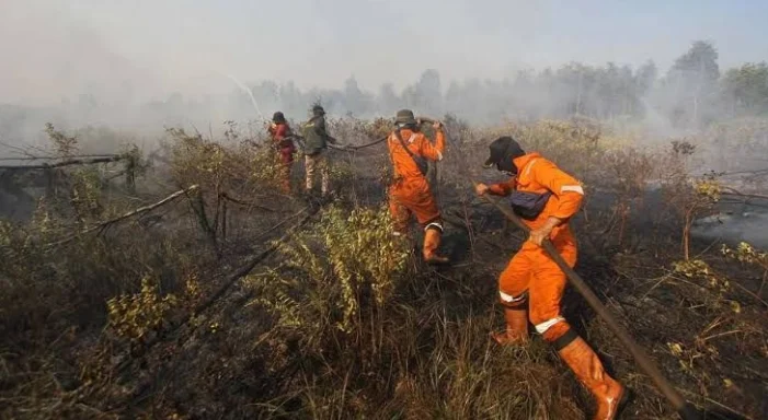 Kehidupan di Bawah Ancaman Kebakaran Hutan dan Perjalanan Musikal Masego: Antara Kesiapan dan Ketidakpastian