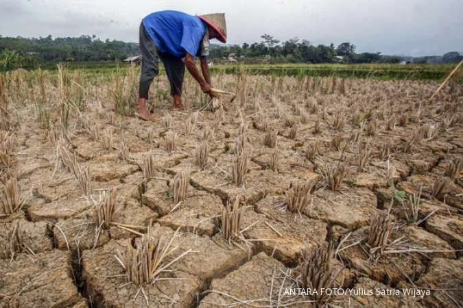 Kekeringan Melanda Indonesia: Dampak El Nino dan Upaya Mitigasi