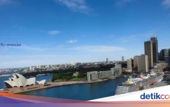 Live Sydney: Berita Terkini dari Kota Sydney