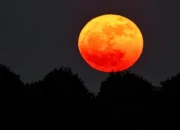 Mengenal Strawberry Moon dan Fenomena Langit Lainnya