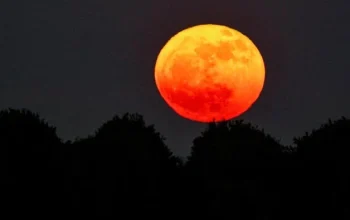 Mengenal Strawberry Moon dan Fenomena Langit Lainnya