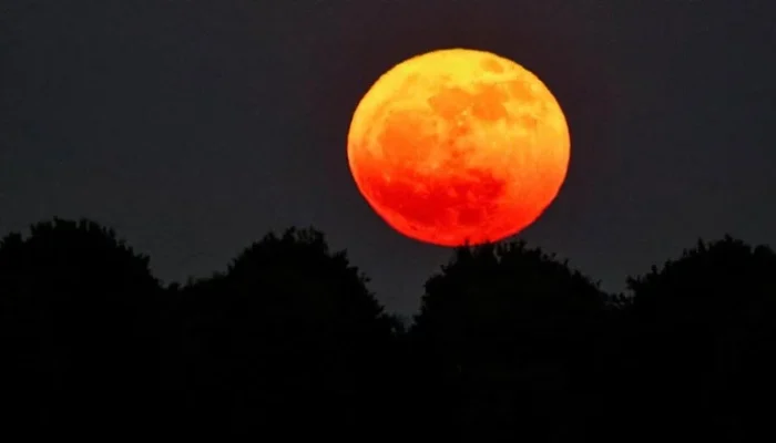 Mengenal Strawberry Moon dan Fenomena Langit Lainnya