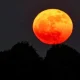 Mengenal Strawberry Moon dan Fenomena Langit Lainnya