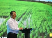 Mentan Amran Sulaiman: Pemerintah Siapkan Strategi untuk Mencegah Kekeringan dan Mengembangkan Pertanian