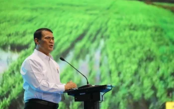 Mentan Amran Sulaiman: Pemerintah Siapkan Strategi untuk Mencegah Kekeringan dan Mengembangkan Pertanian