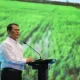 Mentan Amran Sulaiman: Pemerintah Siapkan Strategi untuk Mencegah Kekeringan dan Mengembangkan Pertanian