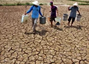 Musim Kemarau Melanda Indonesia: 60,5% Wilayah Terkena Dampak Kekeringan