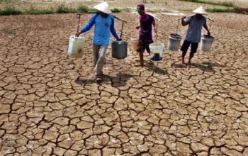 Musim Kemarau Melanda Indonesia: 60,5% Wilayah Terkena Dampak Kekeringan