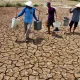 Musim Kemarau Melanda Indonesia: 60,5% Wilayah Terkena Dampak Kekeringan