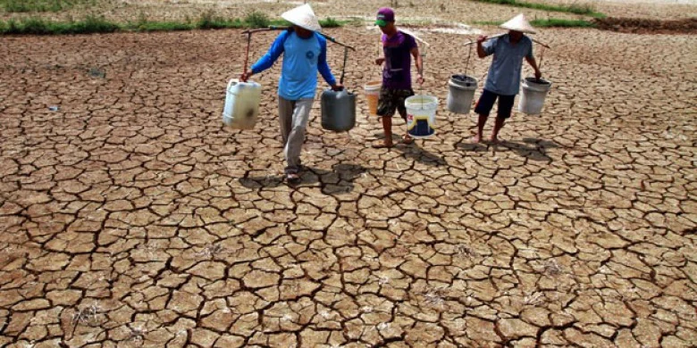 Musim Kemarau Melanda Indonesia: 60,5% Wilayah Terkena Dampak Kekeringan