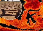 Musim Kemarau Melanda Indonesia: Kebakaran Lahan dan Fenomena El Nino