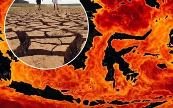 Musim Kemarau Melanda Indonesia: Kebakaran Lahan dan Fenomena El Nino