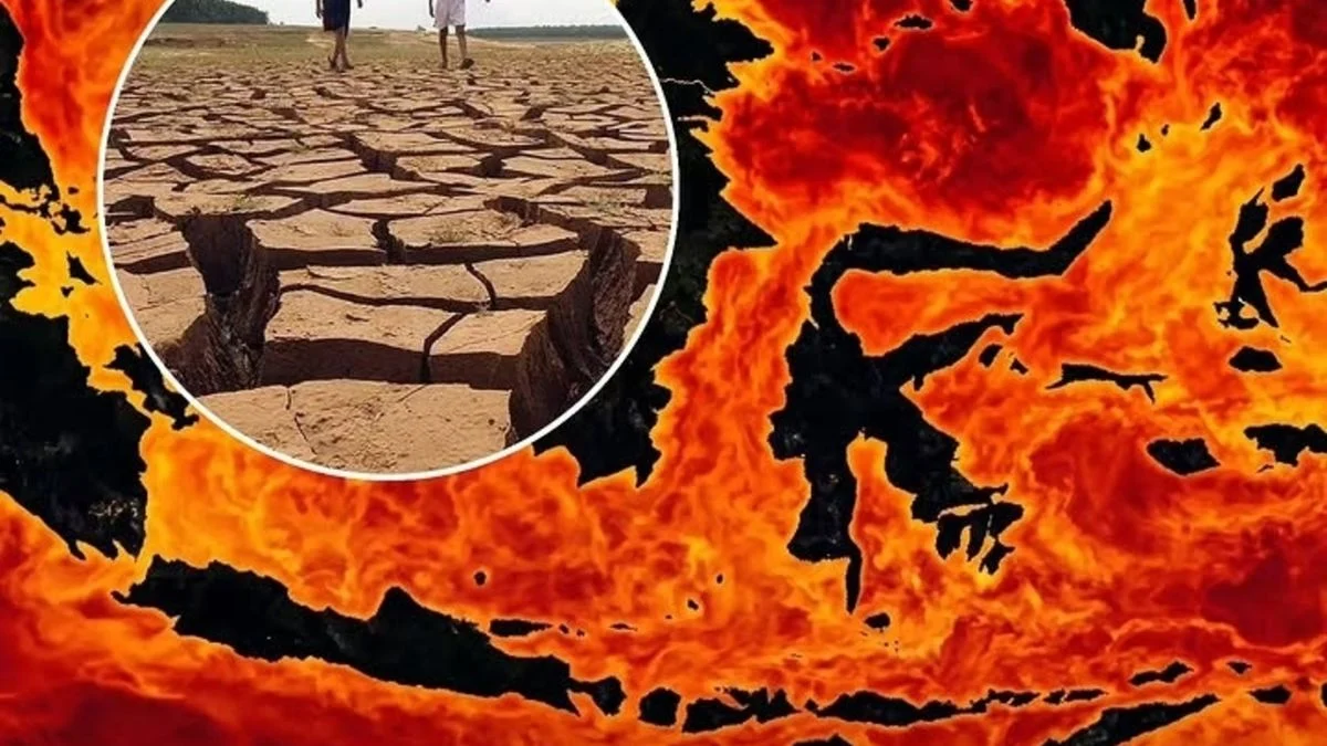 Musim Kemarau Melanda Indonesia: Kebakaran Lahan dan Fenomena El Nino