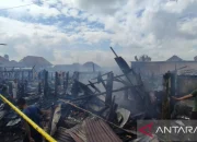 Orlando City di Ambang Kesuksesan: Dari Kemenangan di Lapangan hingga Kerusakan Kebakaran di Rumah Bersejarah