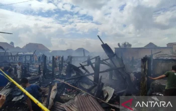 Orlando City di Ambang Kesuksesan: Dari Kemenangan di Lapangan hingga Kerusakan Kebakaran di Rumah Bersejarah