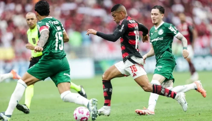 Palmeiras dan Flamengo Terus Berebut Puncak Klasemen: Tinjauan Pertandingan dan Pemain