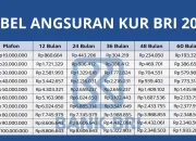 Panduan Lengkap Mengenai Angsuran: Dari KUR BRI Hingga Kredit Motor Listrik
