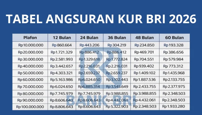 Panduan Lengkap Mengenai Angsuran: Dari KUR BRI Hingga Kredit Motor Listrik