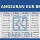 Panduan Lengkap Mengenai Angsuran: Dari KUR BRI Hingga Kredit Motor Listrik