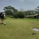 Parlay Menarik di Dunia Olahraga: Dari Sepakbola hingga Golf