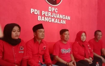 PDIP Ditegur Partai Lain, Herzaky: Rakyat Butuh Kejelasan Bukan Abu-Abu