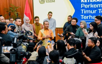 Pemerintah Pastikan Pasokan Batu Bara untuk PLN Aman