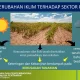Perubahan Iklim Mengancam Produksi Mangga Meksiko dan India, Berdampak pada Kehidupan Petani
