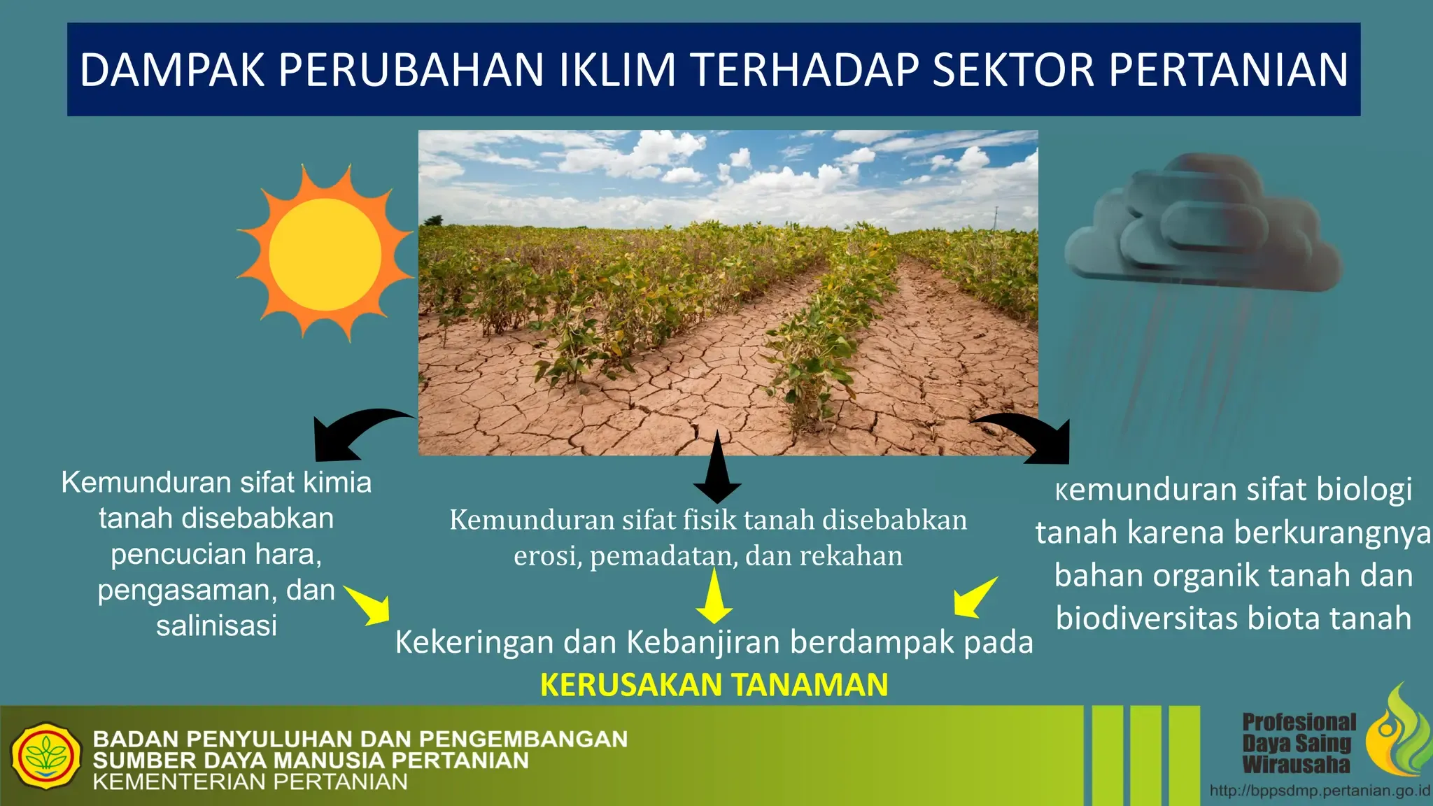 Perubahan Iklim Mengancam Produksi Mangga Meksiko dan India, Berdampak pada Kehidupan Petani
