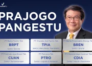 Prajogo Pangestu Kembali Menjadi Orang Terkaya di Indonesia, Saham Grup Barito Mengalami Peningkatan