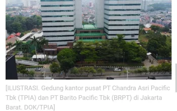 PT Barito Pacific Tbk dan Saham Lainnya Masuk Daftar HSC, Apa Ini Berpengaruh?