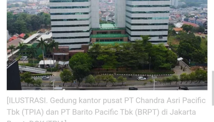 PT Barito Pacific Tbk dan Saham Lainnya Masuk Daftar HSC, Apa Ini Berpengaruh?