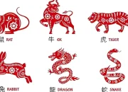 Ramalan Shio Besok: Tikus, Kerbau, Macan, Kelinci, Naga, Ular, Kuda, Kambing, Monyet, Ayam, Anjing, dan Babi