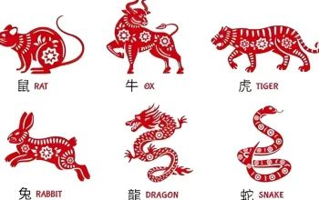 Ramalan Shio Besok: Tikus, Kerbau, Macan, Kelinci, Naga, Ular, Kuda, Kambing, Monyet, Ayam, Anjing, dan Babi