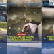 Skandal Perselingkuhan Oknum Polisi dan Aksi Brutal Menantu