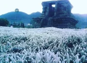 Suhu Dingin di Dieng Juli 2026: Fenomena Alam yang Menarik
